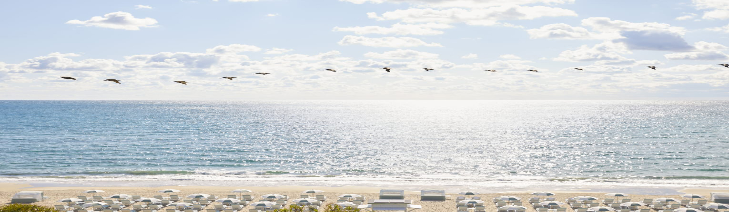 Four Seasons Resort Palm Beach